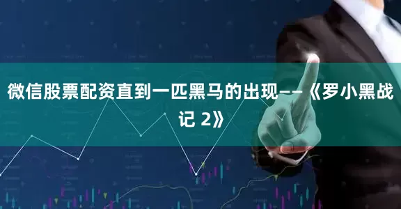 微信股票配资直到一匹黑马的出现——《罗小黑战记 2》